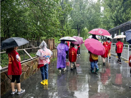 北京德行天下公益基金会：动物园两栖动物探索之旅成功开展